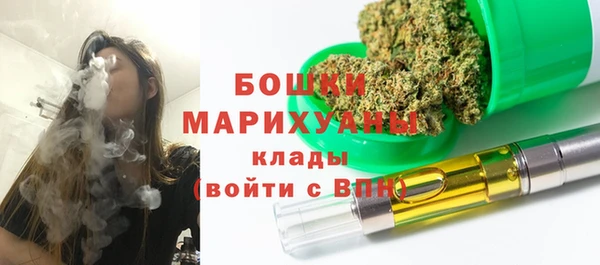 хмурый Белокуриха