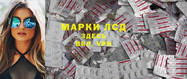 хмурый Белокуриха