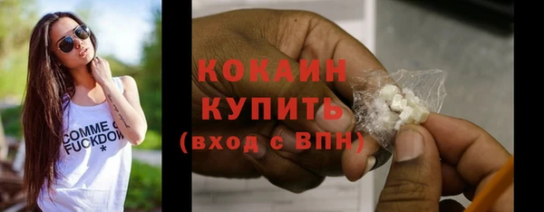 хмурый Белокуриха