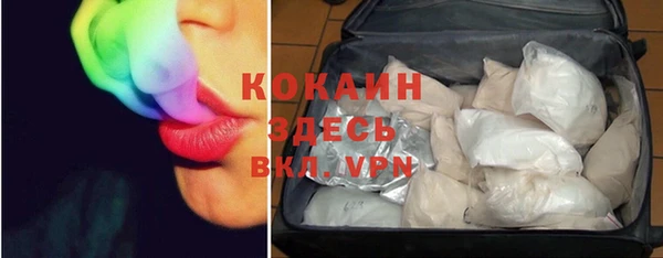 хмурый Белокуриха