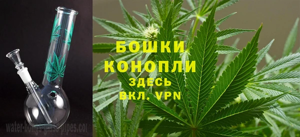 хмурый Белокуриха