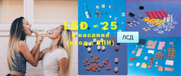 хмурый Белокуриха
