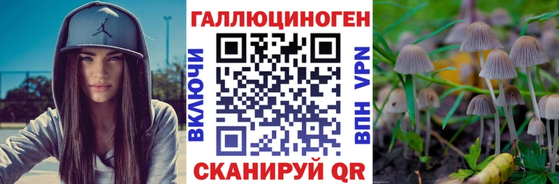 Галлюциногенные грибы Psilocybe  Коряжма 