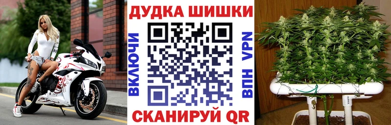 darknet клад Коряжма Марихуана Amnesia